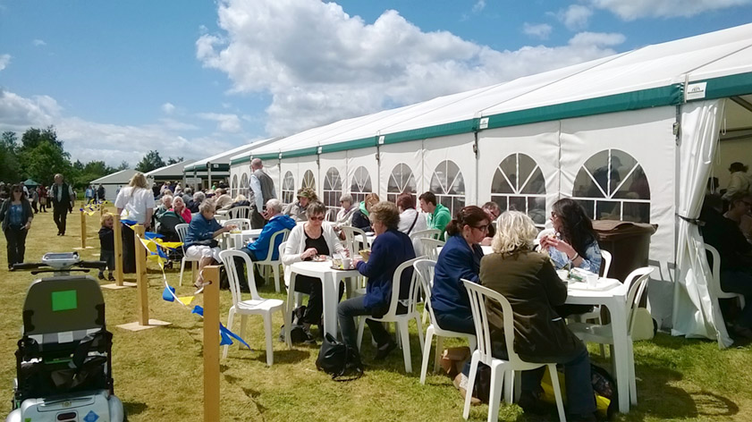 Enjoying the sunshine at Patchings