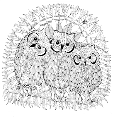 Owls