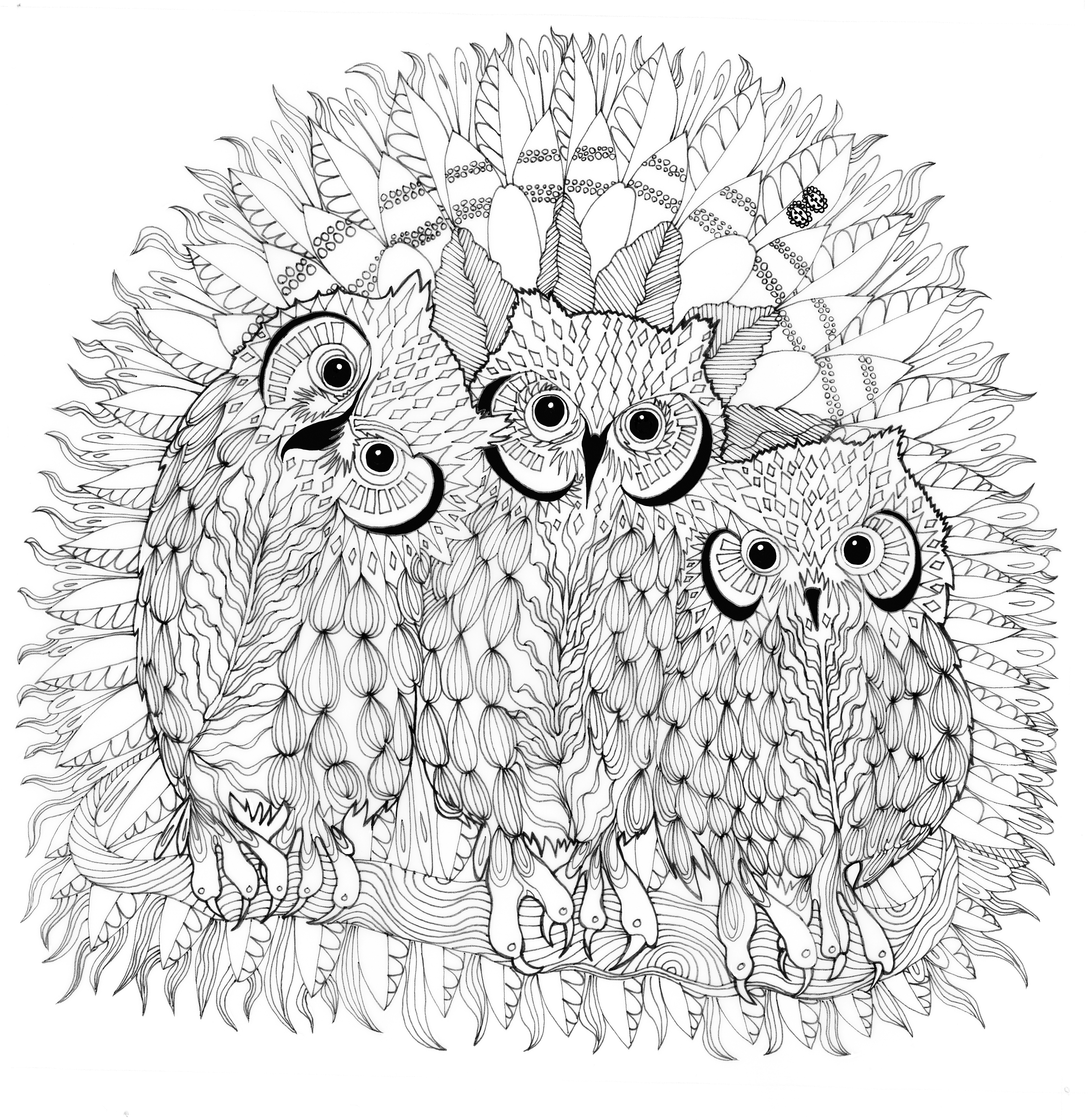 Owl Nest